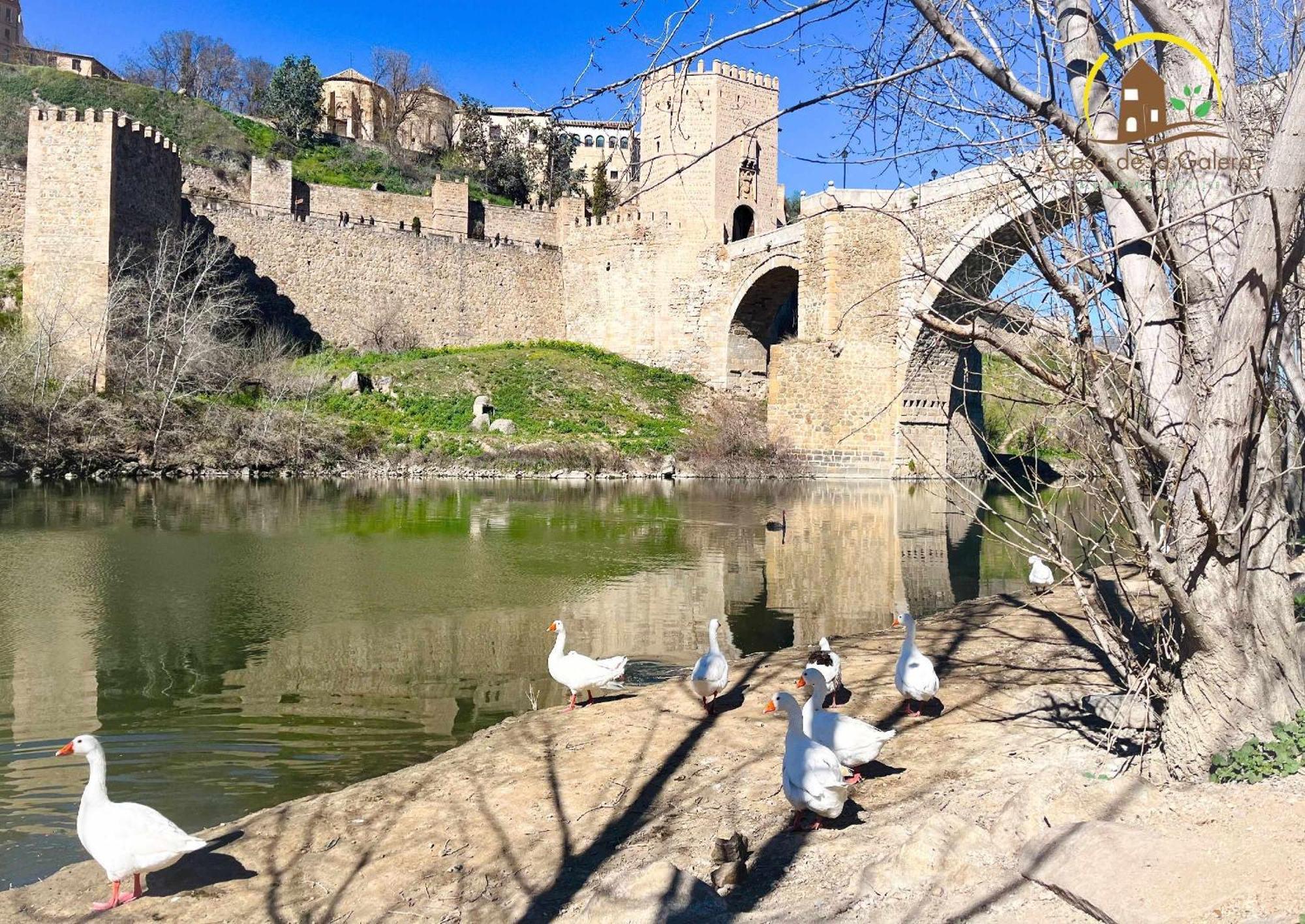 Casa De La Galera Turistico En Domek alpejski